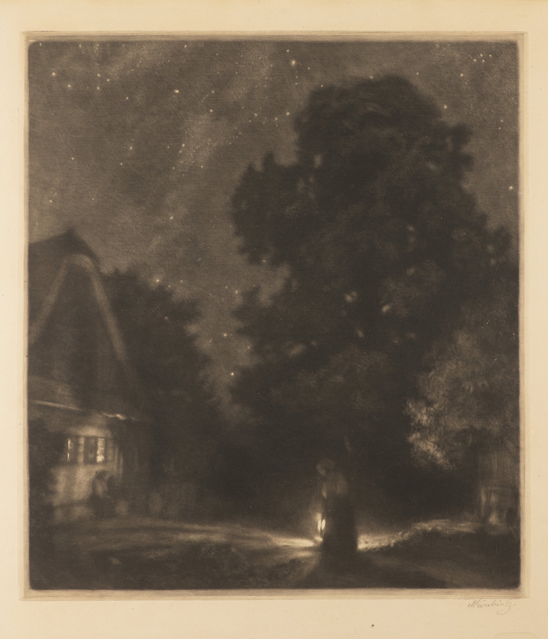 AUCTION CATALOGUE 2019 / GARDEN AUCTION