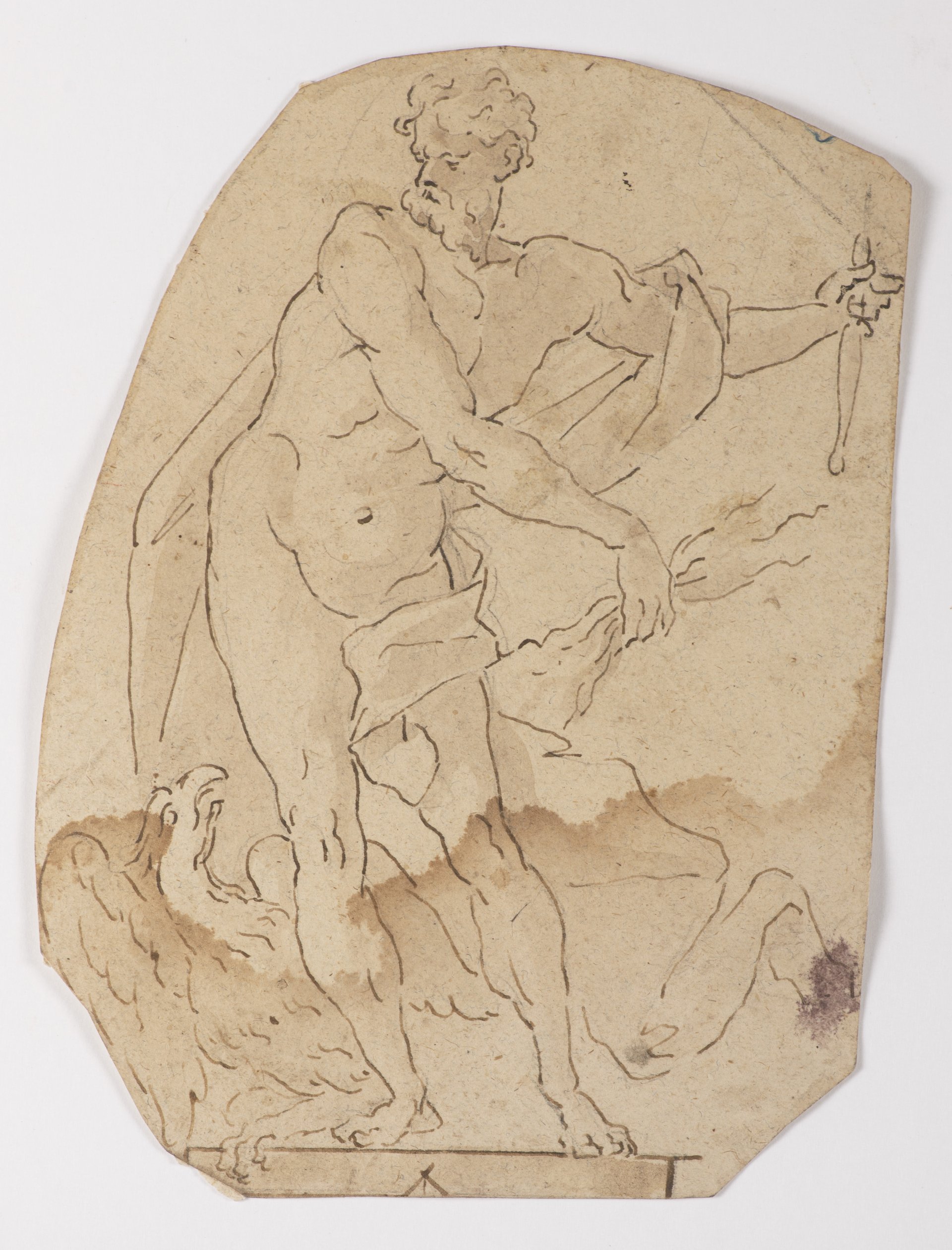 ZAHRADNÍ AUKCE 2020