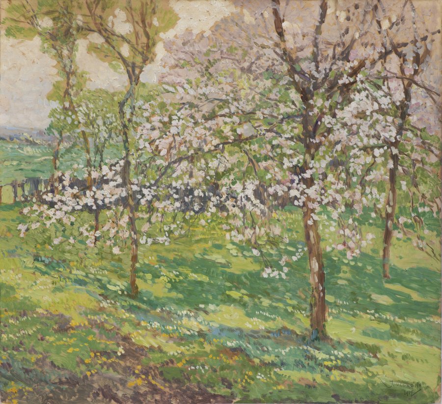 BLOSSOMING ORCHARD