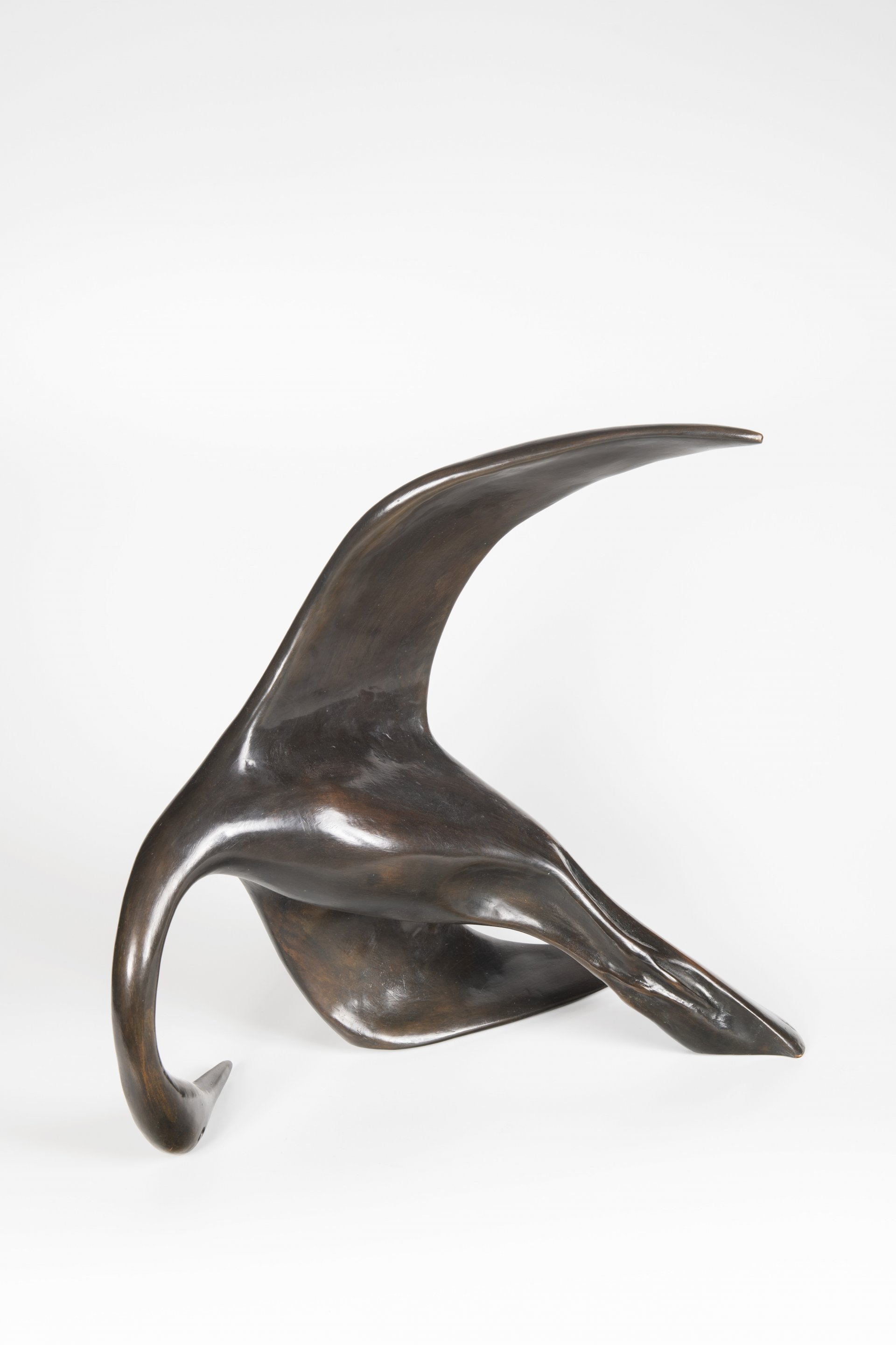 AUCTION CATALOGUE 2019 / GARDEN AUCTION