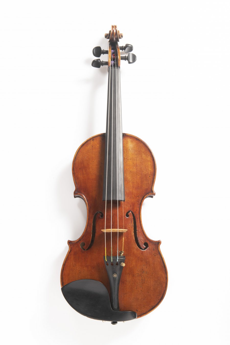 A VIOLA