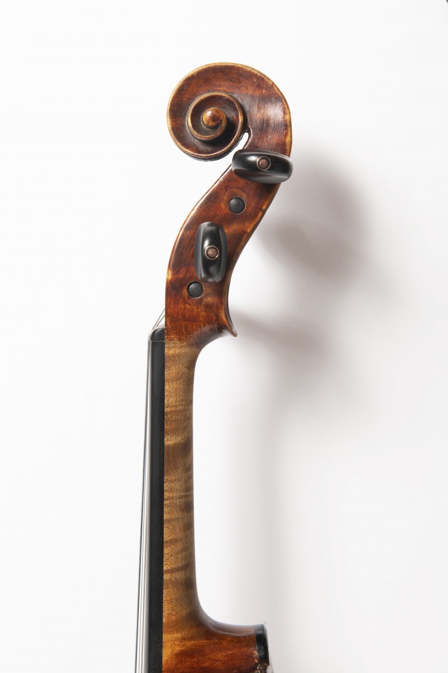 A VIOLA