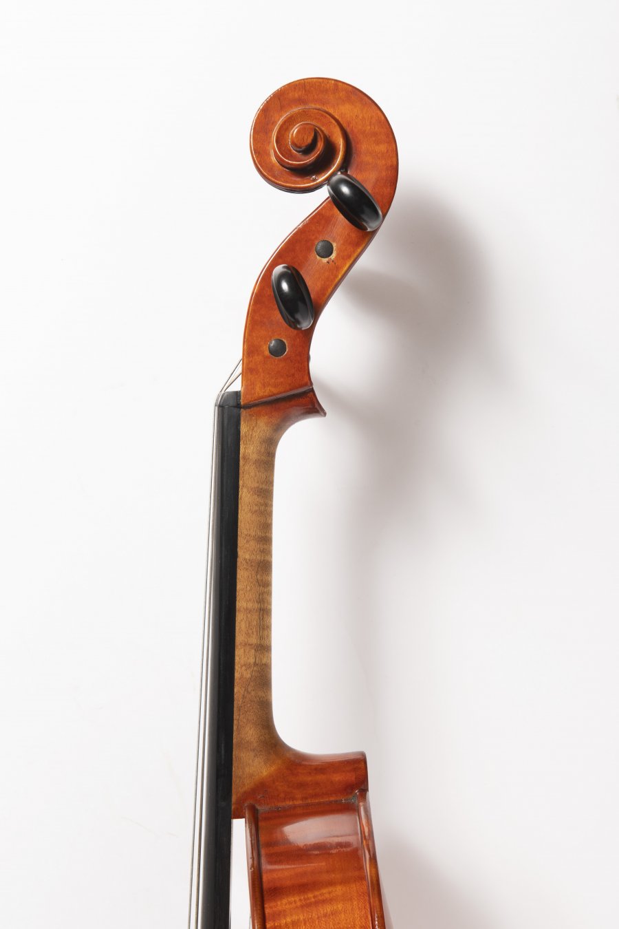 A VIOLA