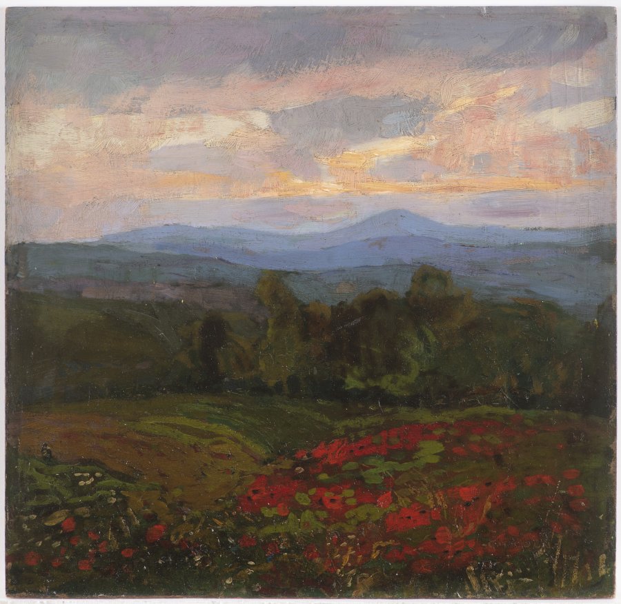 LANDSCAPE AT DUSK