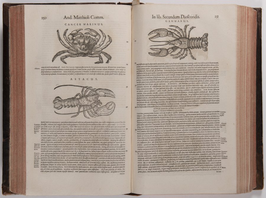 DE MEDICA MATERIA WITH COMMENTARIES