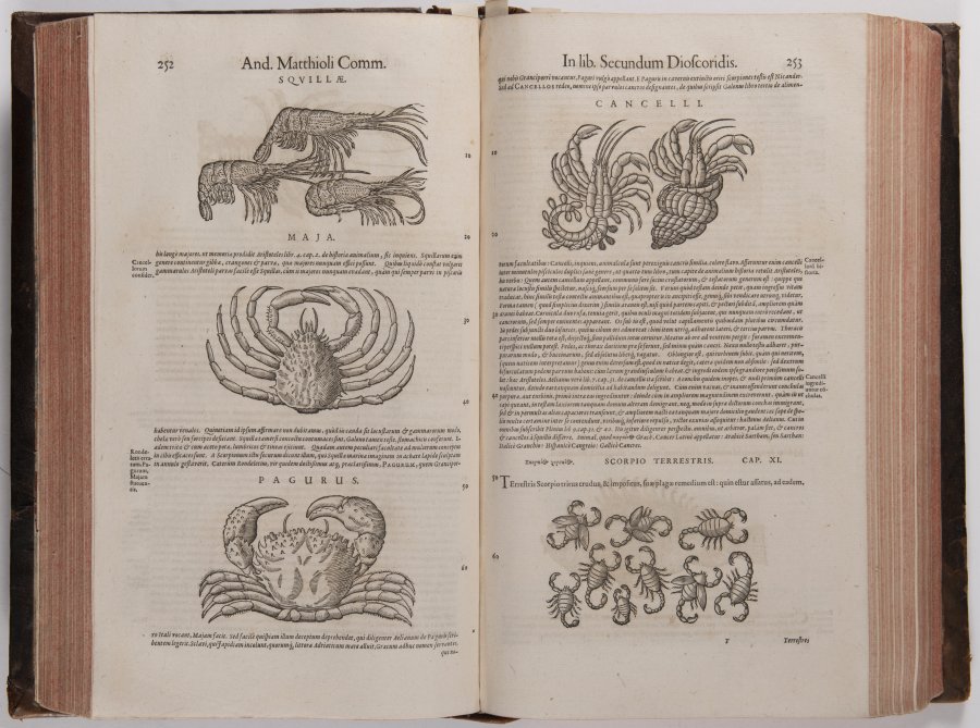 DE MEDICA MATERIA WITH COMMENTARIES