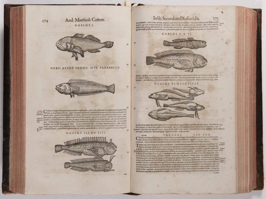 DE MEDICA MATERIA WITH COMMENTARIES