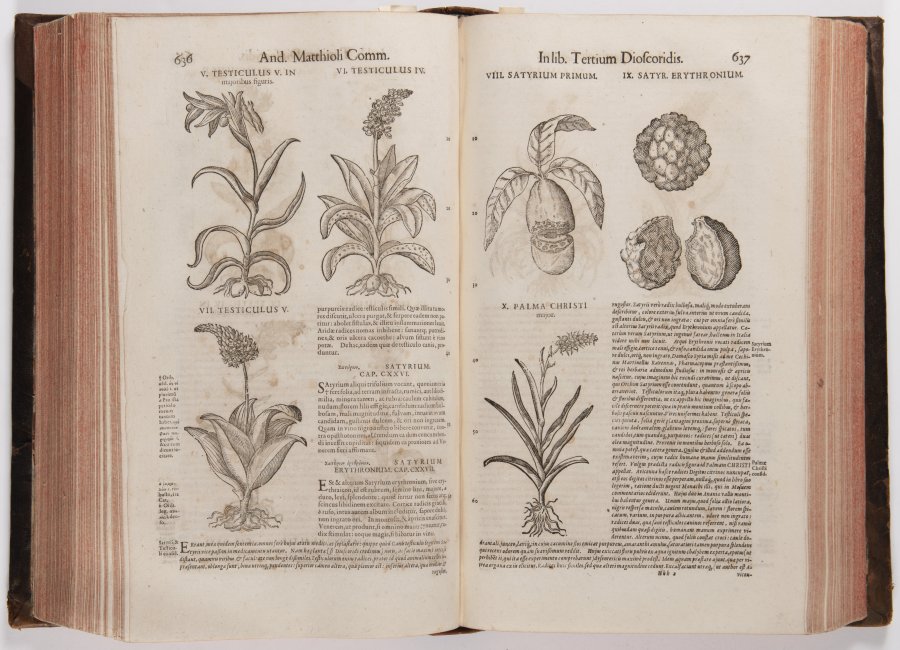 DE MEDICA MATERIA WITH COMMENTARIES