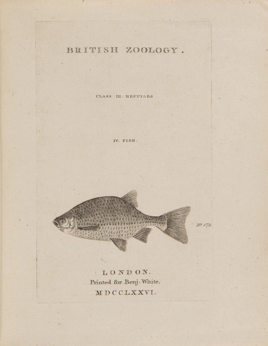 BRITISH ZOOLOGY