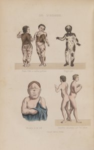 OEUVRES COMPLETES. AVEC DE EXTRAITS DE DAUBENTON.