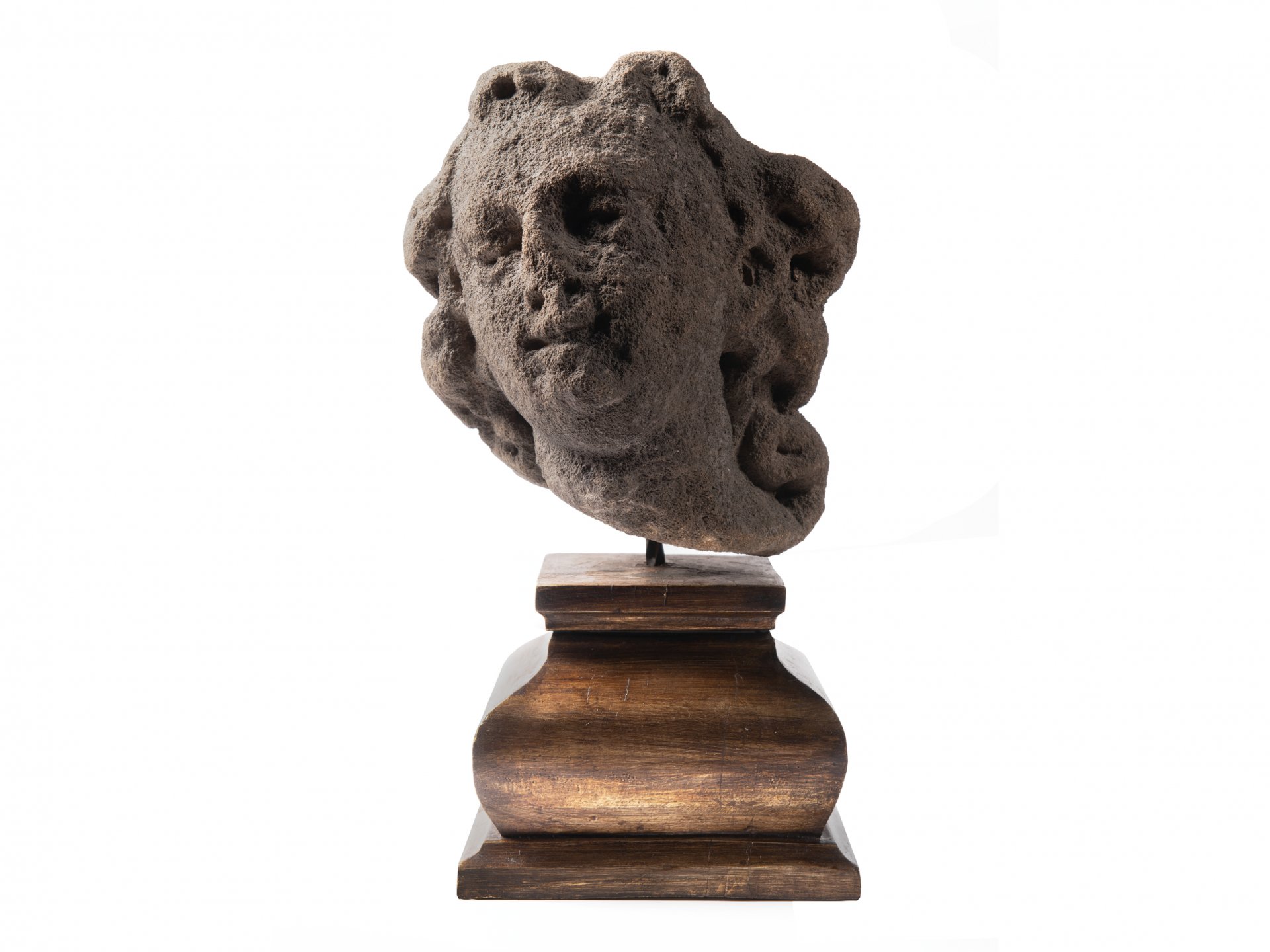 AUCTION CATALOGUE 2021 / GARDEN AUCTION