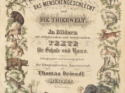 DAS MENSCHENGESCHLECHT UND THIERWELT