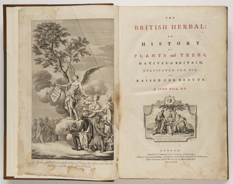 The British Herbal : An History of Plants and Trees, Natives in Britain, Cultivated for Use, or Raised for Beauty.