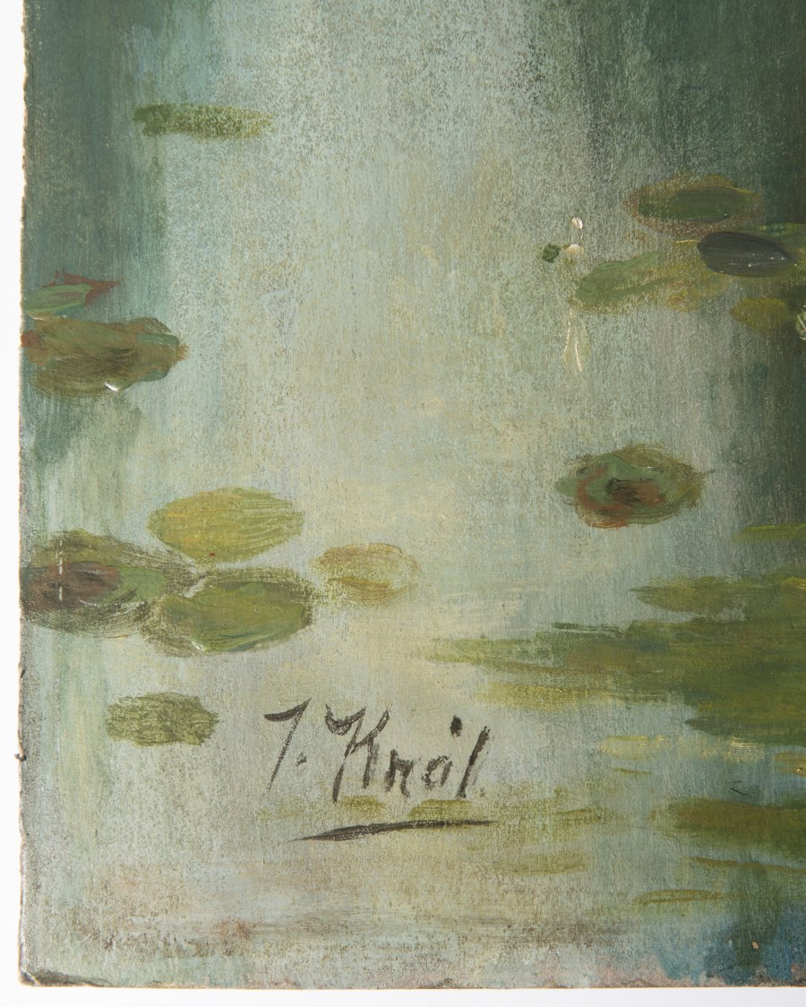 POND WITH WATER LILIES