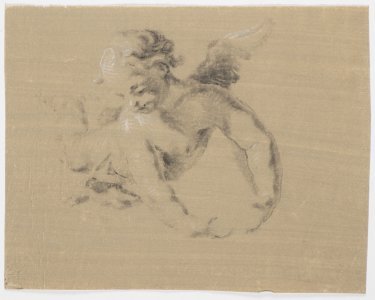 A STUDY OF CUPIDS