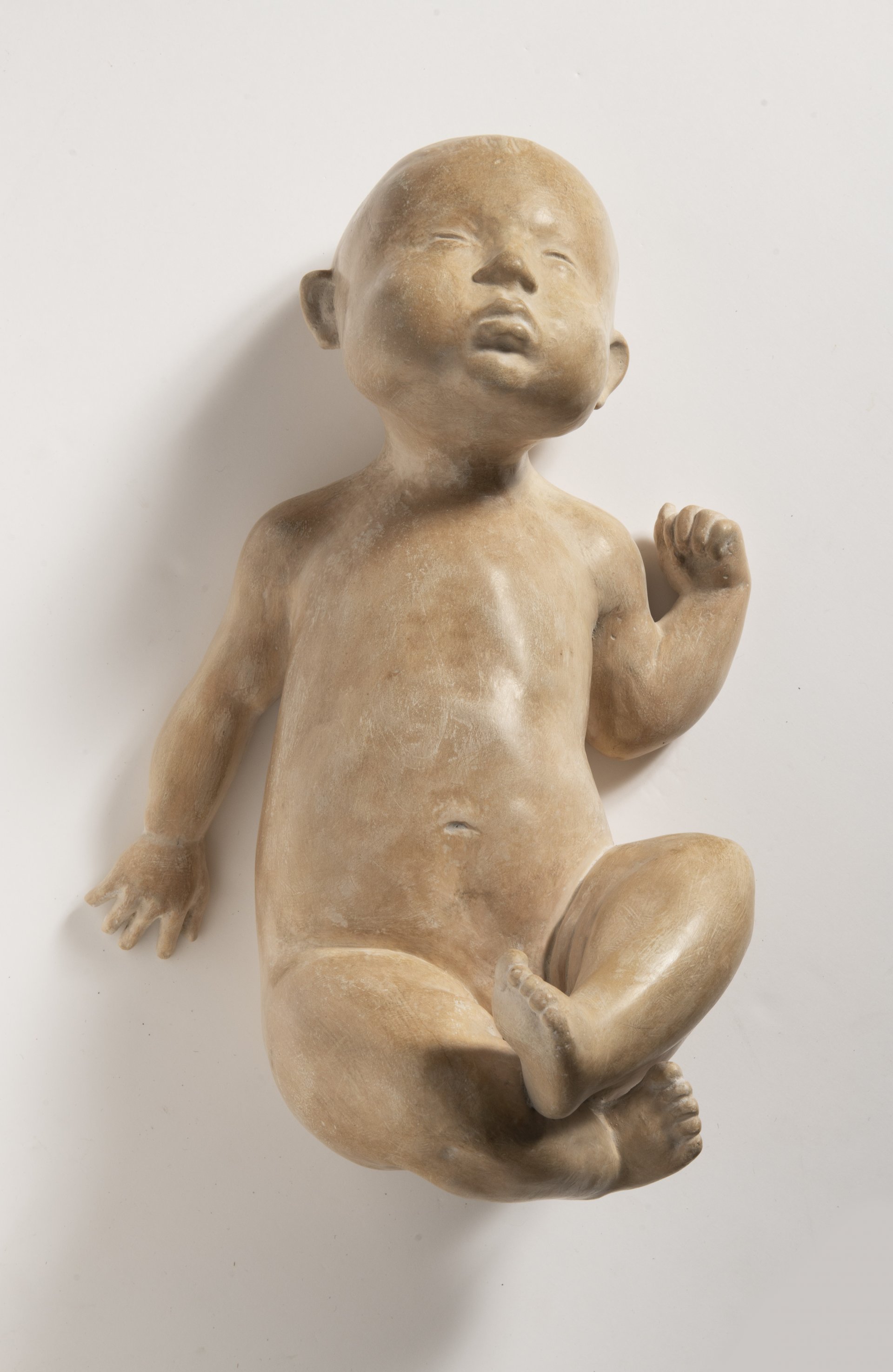 VEČERNÍ AUKCE 2019