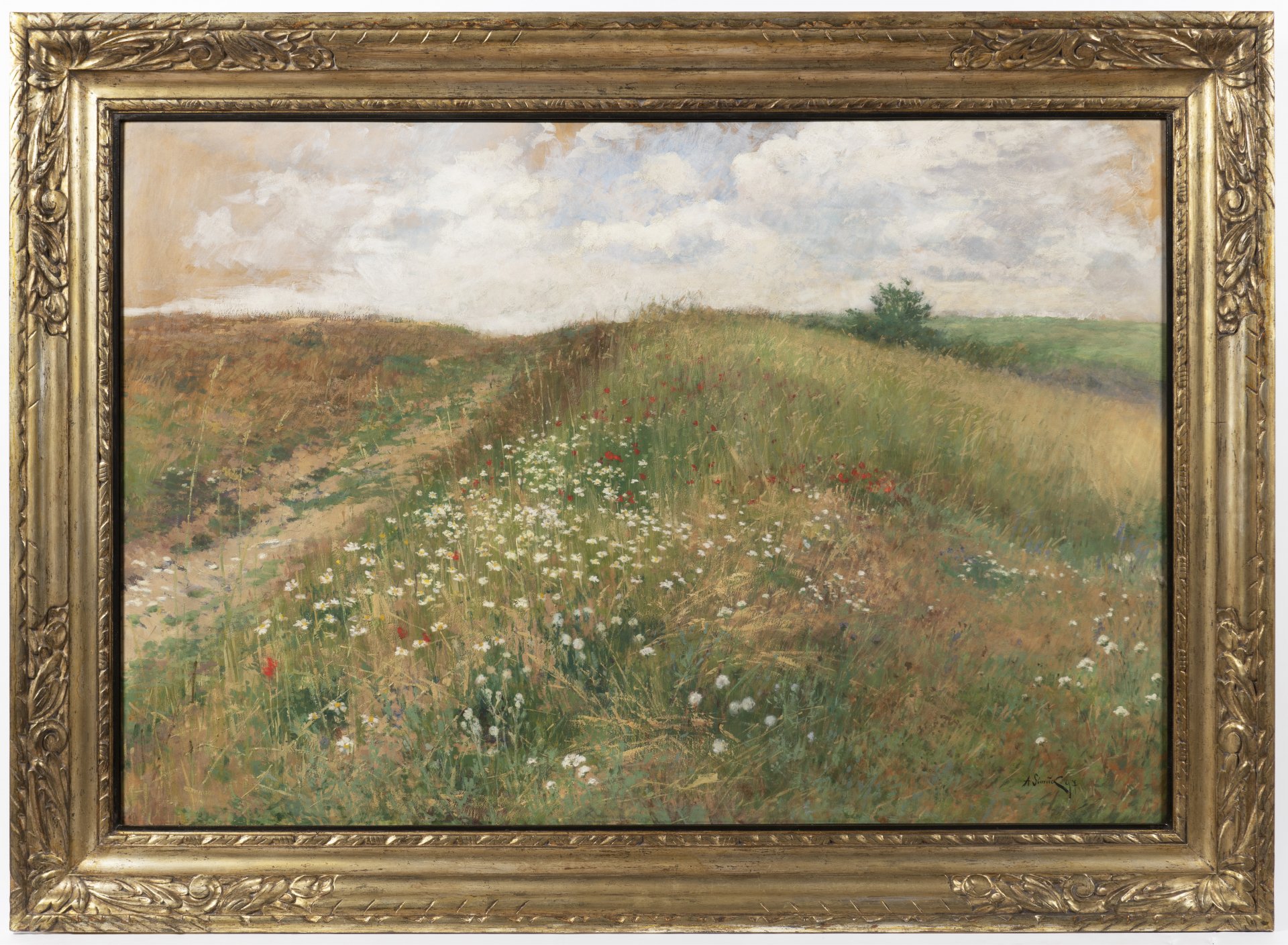 ZAHRADNÍ AUKCE 2021