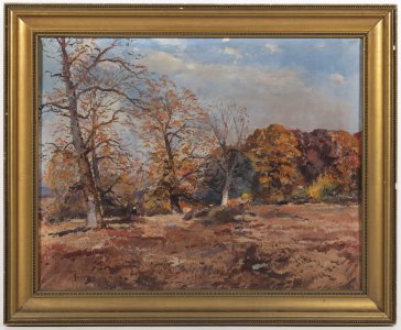 LANDSCAPE OF ZAKARPATTIA