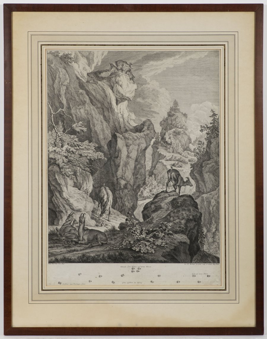 SOUBOR ČTYŘ GRAFIK