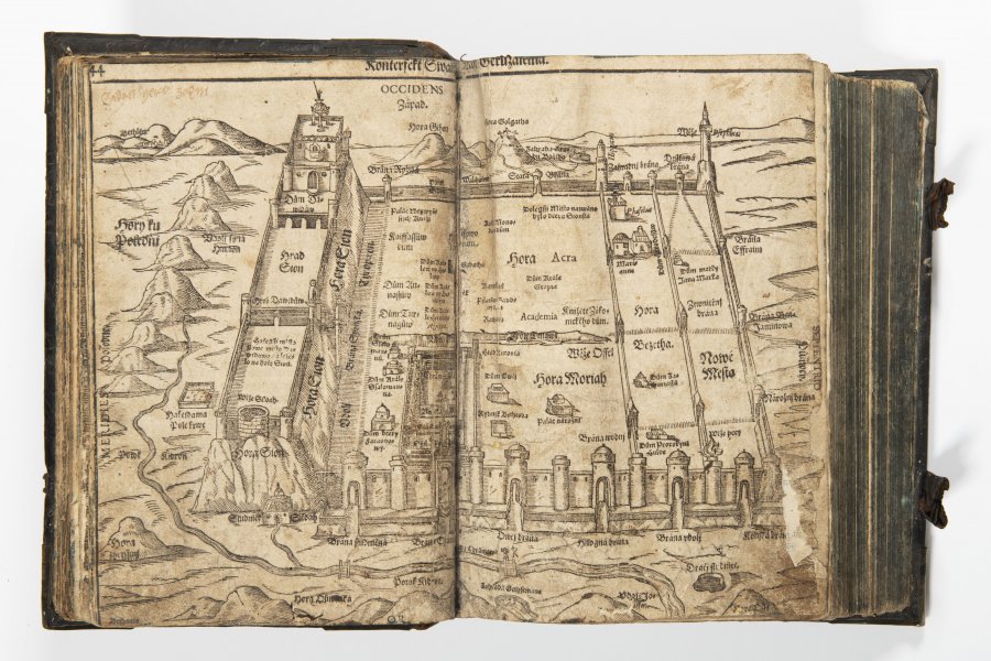 THE PILGRIMAGE OF THE SAINTS
