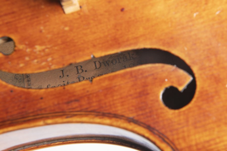 VIOLIN
