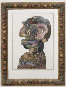 ARCIMBOLDESKNÍ HLAVA