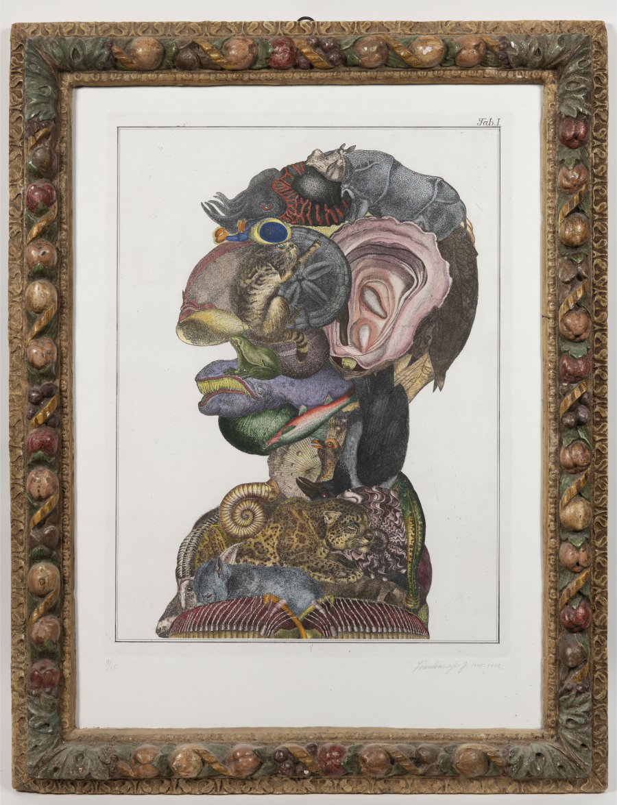ARCIMBOLDESKNÍ HLAVA