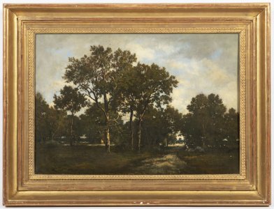 LA CLAIRIÉRE