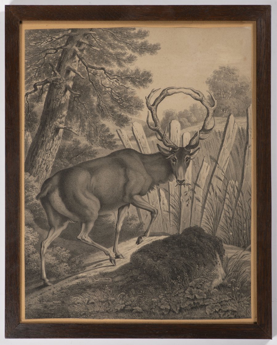 SERIES OF FIVE PRINTS