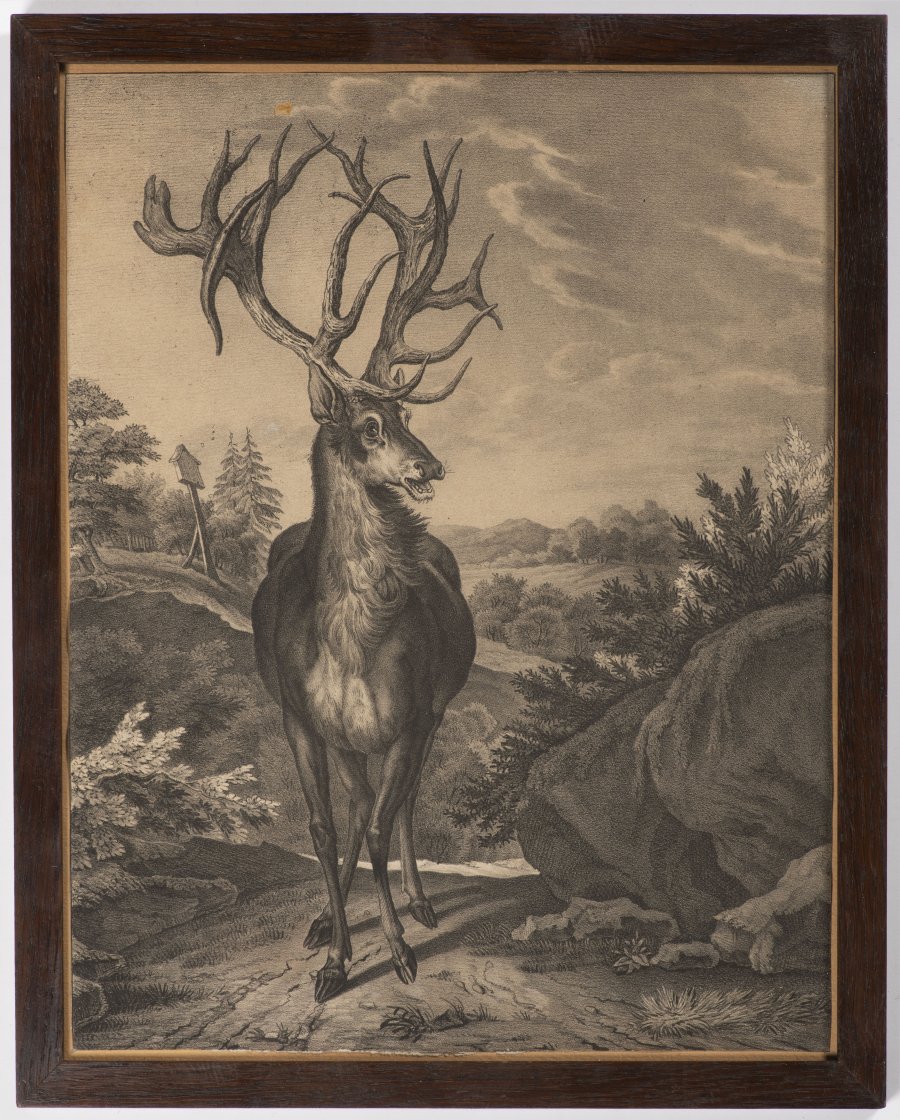 KONVOLUT PĚTI GRAFIK