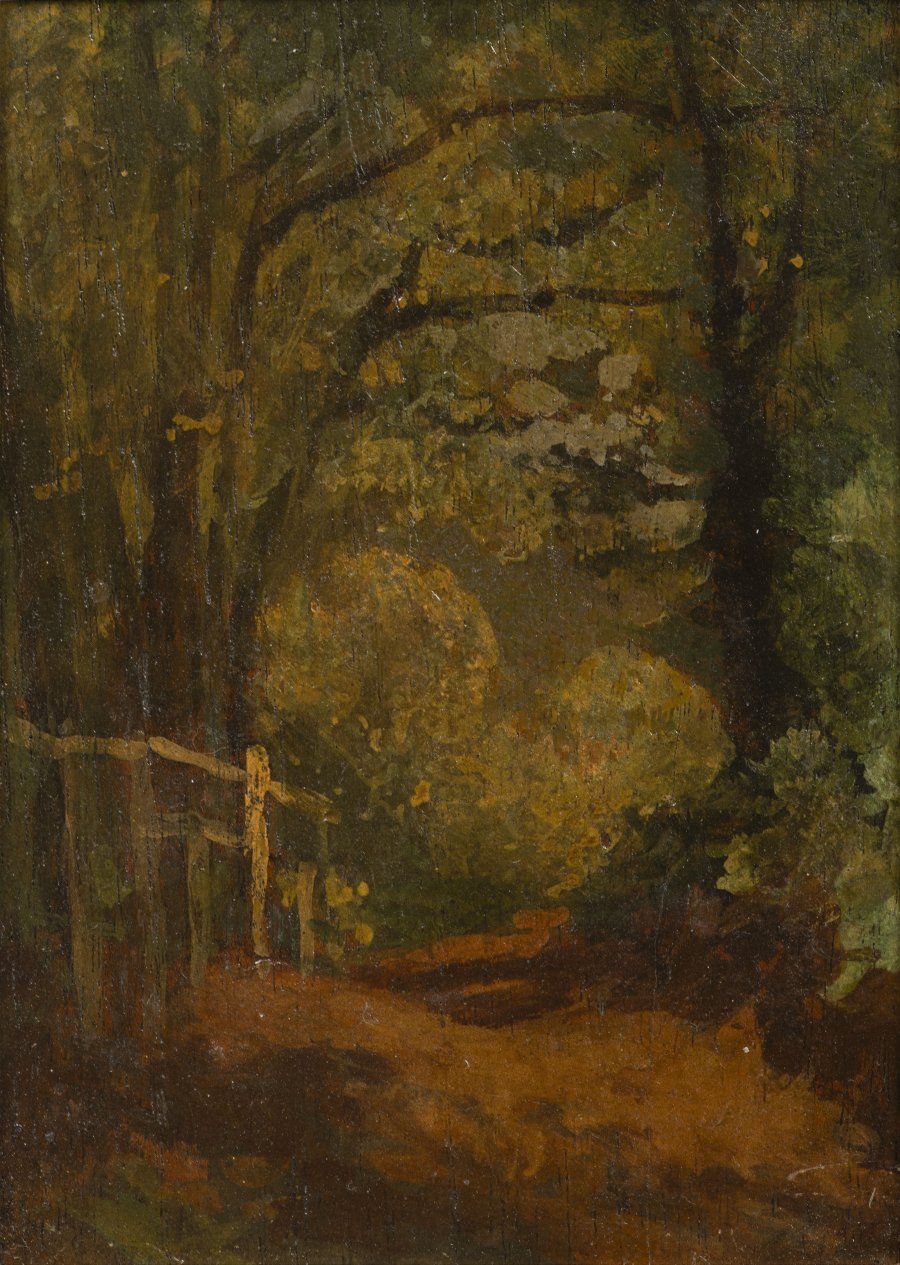 A WALK THROUGH THE DECIDUOUS FOREST