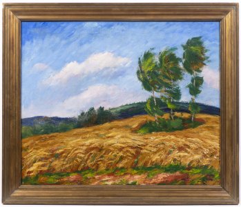 FIELD IN A WIND
