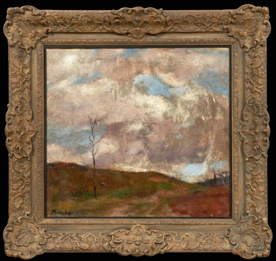 SPRING LANDSCAPE