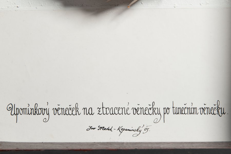 UPOMÍNKOVÝ VĚNEČEK ZA ZTRACENÉ VĚNEČKY PO TANEČNÍM VĚNEČKU