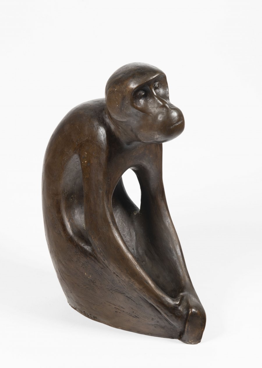 A MONKEY