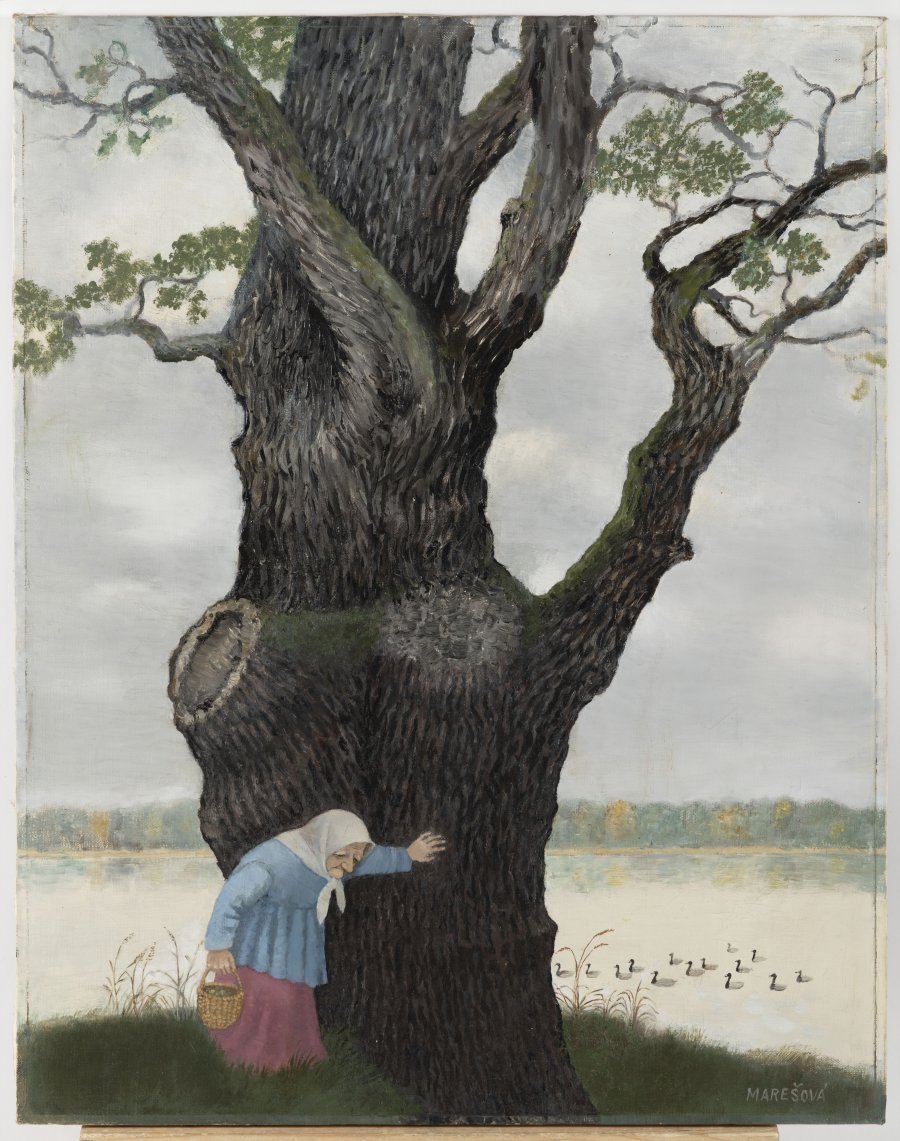 NEAR AN OLD OAK