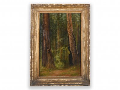 FOREST INTERIOR