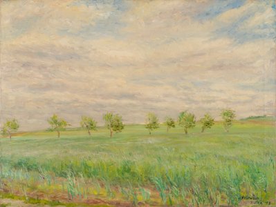 LANDSCAPE WITH TREES