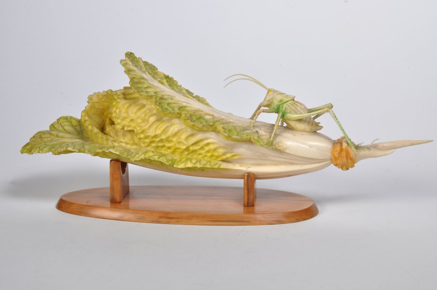 GRASSHOPPER ON CABBAGE