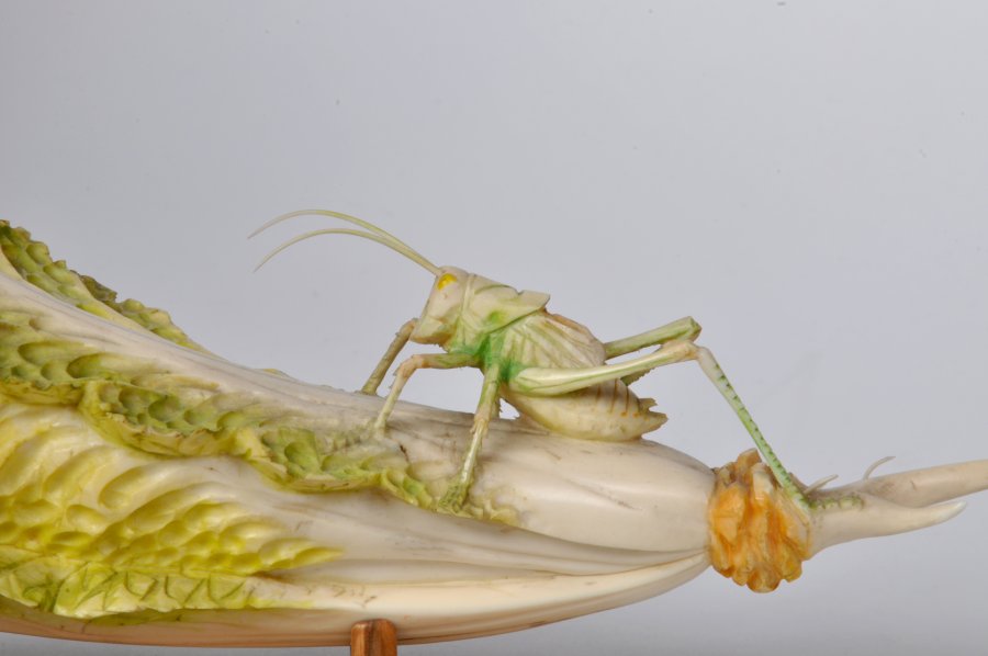 GRASSHOPPER ON CABBAGE