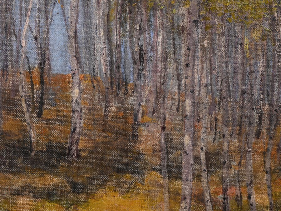 A BIRCH GROVE