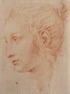 PORTRAIT OF A WOMAN