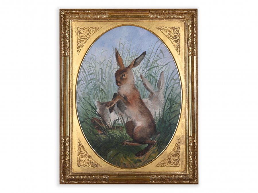 HARES