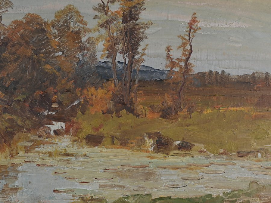 TREES BY THE POND