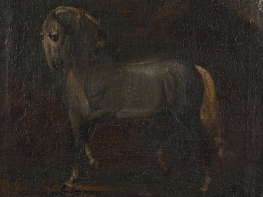 PORTRAIT OF A LIPIZZAN