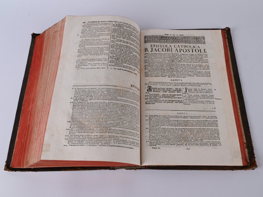 ETTENHEIMMÜNSTER BIBLE