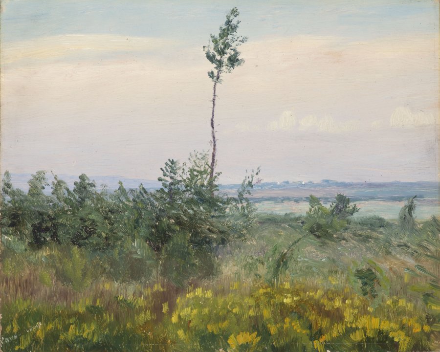 BOCAGE