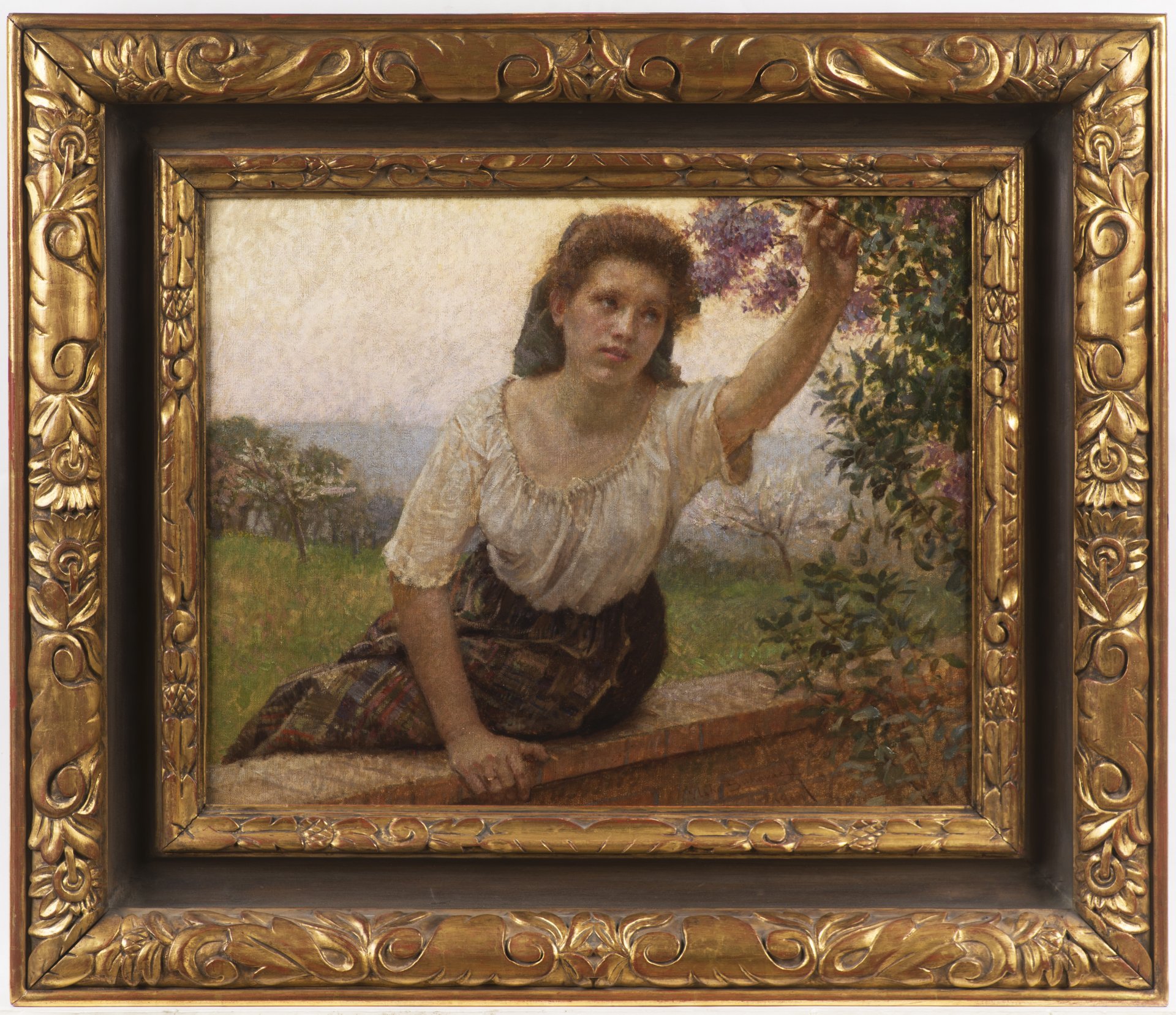 GARDEN AUCTION 2017