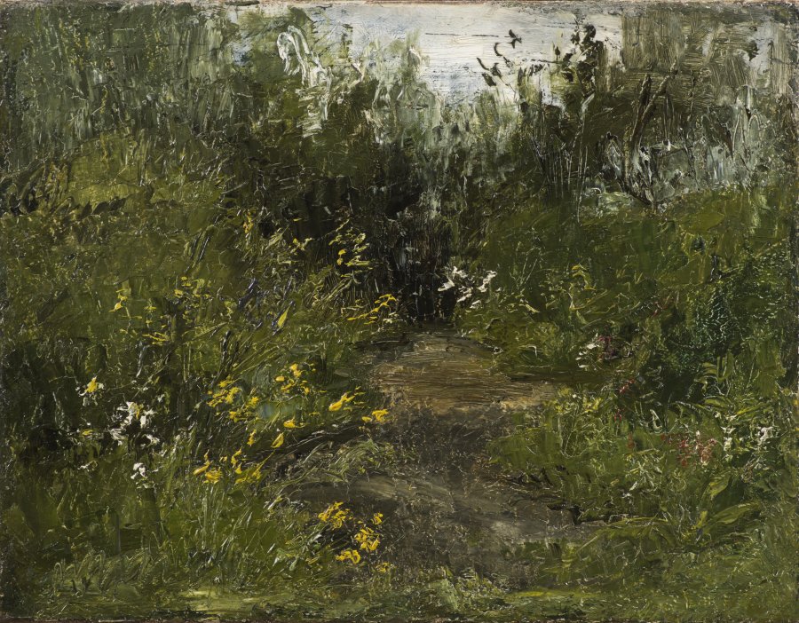 Pathway in the Grass