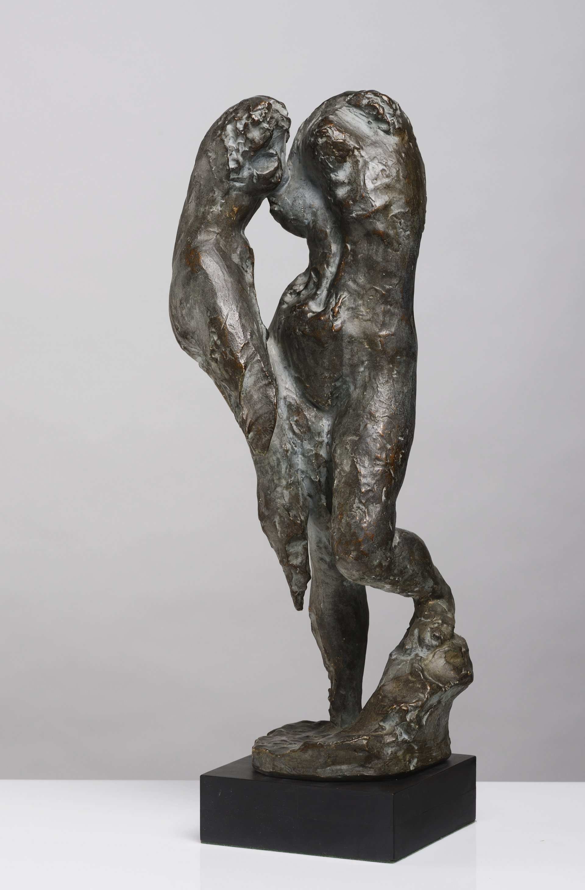 AUCTION CATALOGUE 2016 / GARDEN AUCTION